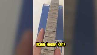 MAHLE D6D محمل المحرك 82533100 مجموعة بطانة الأسطوانة RIK حلقات المكبس 3837146 Mahle 03816vo